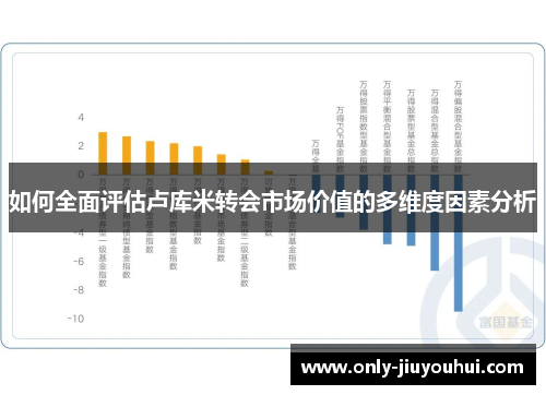 如何全面评估卢库米转会市场价值的多维度因素分析 如何全面评估卢库米转会市场价值的多维度因素分析